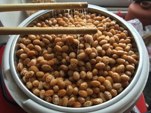 精美纳豆 家常菜谱大全,纳豆怎么做,纳豆如何做