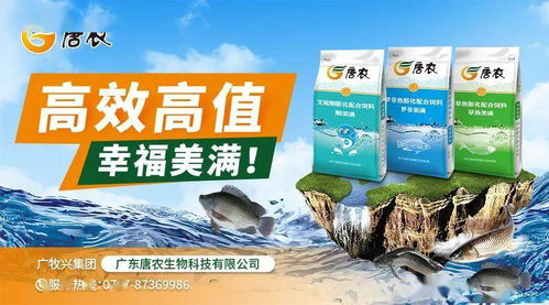 豆粕 玉米持续联动上涨 饲料厂压力大增 江门 佛山 茂名 海南水产料全线要涨