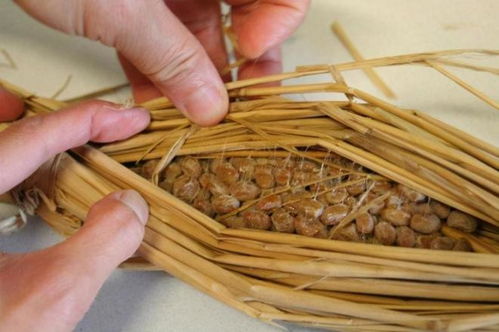 纳豆维持心血管健康 科学家16年研究 靠谱 与红曲米是好搭档