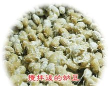 纳豆菌种