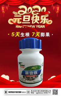 祝福新年快乐,纳豆与火爆农资招商网共迎美好未来